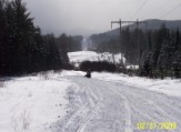 Bill chases Bruce up the power lines