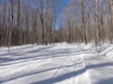 Six Mile Road trail