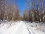 Town Line Pond trail