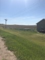 The expanse of farmland behind Amy